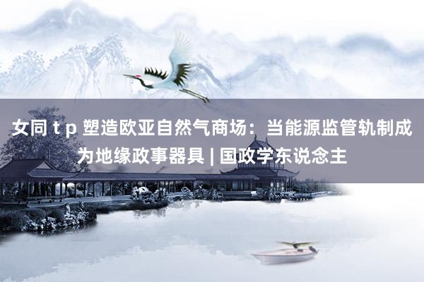 女同 t p 塑造欧亚自然气商场：当能源监管轨制成为地缘政事器具 | 国政学东说念主
