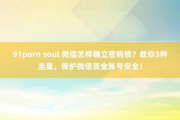 91porn soul 微信怎样确立密码锁？教你3种圭臬，保护微信资金账号安全！