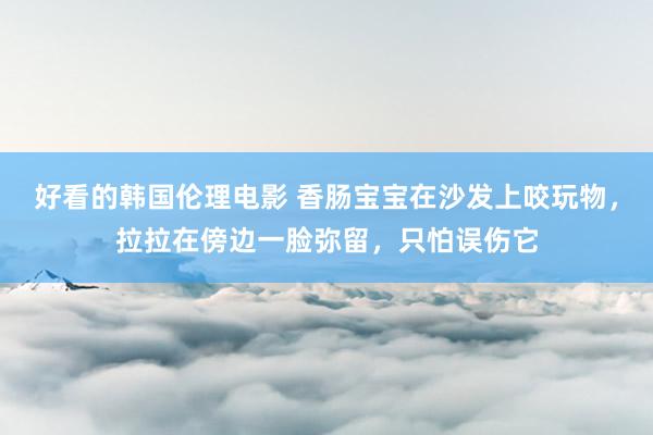 好看的韩国伦理电影 香肠宝宝在沙发上咬玩物，拉拉在傍边一脸弥留，只怕误伤它