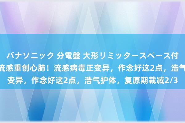 パナソニック 分電盤 大形リミッタースペース付 露出・半埋込両用形 流感重创心肺！流感病毒正变异，作念好这2点，浩气护体，复原期裁减2/3